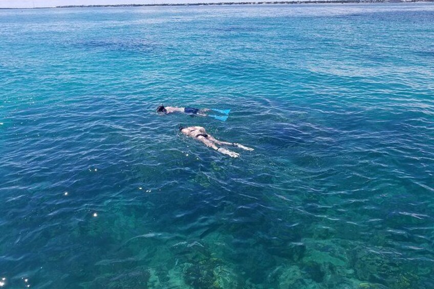 Zwei Personen schwimmen in klarem, blauem Wasser. 5