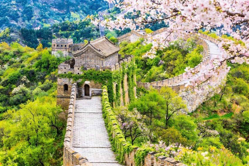 A historic stone wall with a pathway, surrounded by lush greenery and flowering trees. 1