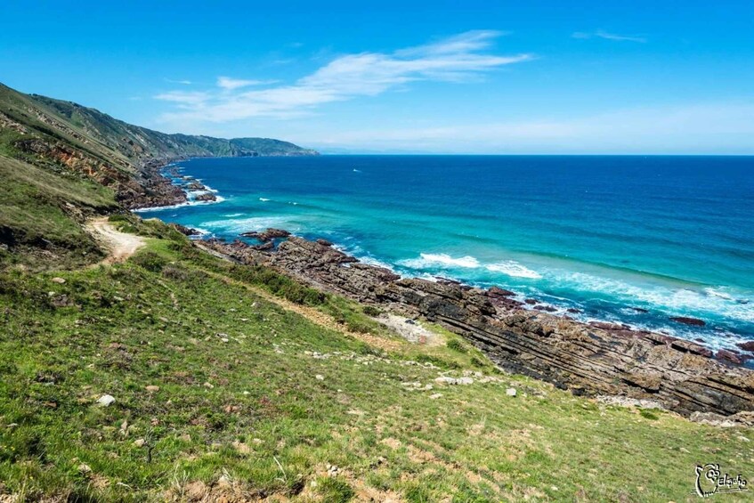 A coastal landscape with a grassy path leading to rocky cliffs overlooking the ocean. 4
