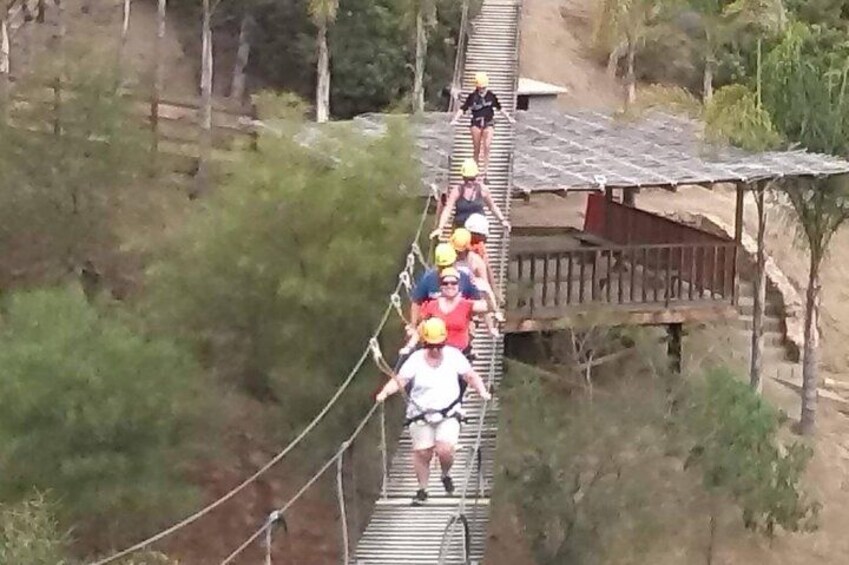 A group of people on a rope bridge in a forested area. 3