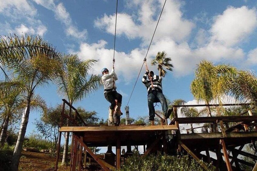 Two people ziplining, surrounded by palm trees and a clear sky. 3