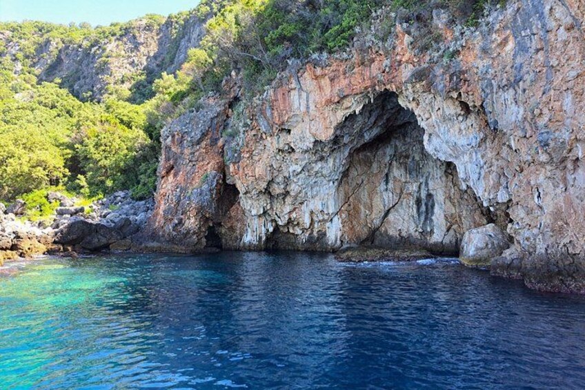 A coastal cliff with a cave entrance, clear blue water, and lush green vegetation. 5