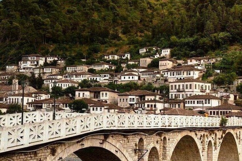 A white bridge with arches, a hillside with buildings, and dense green trees in the background. 2