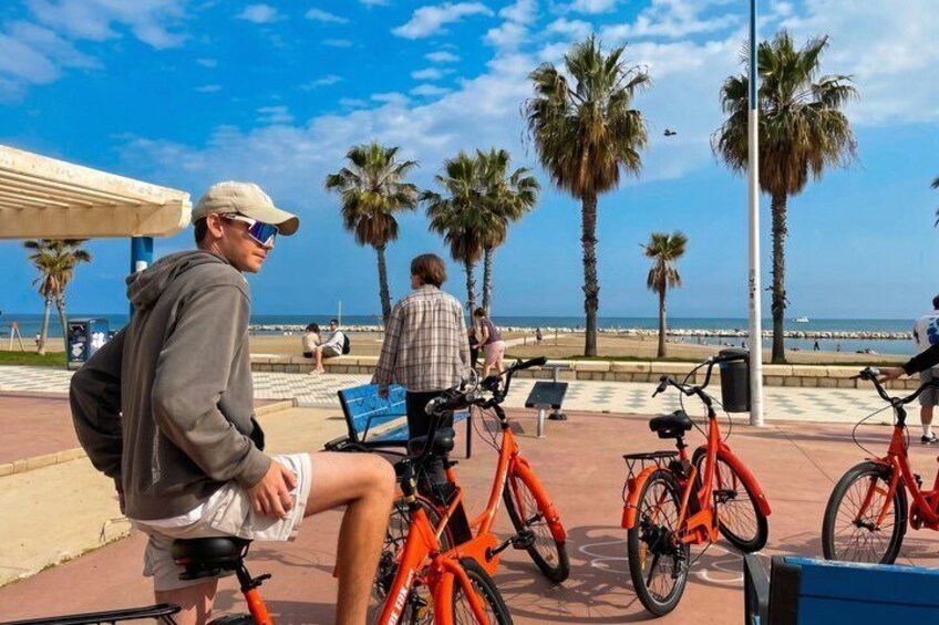 A person sitting on a bicycle, palm trees, and a beach in the background. 5
