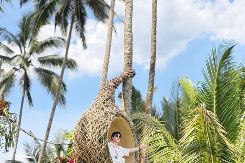 A person in a woven structure among palm trees. 4