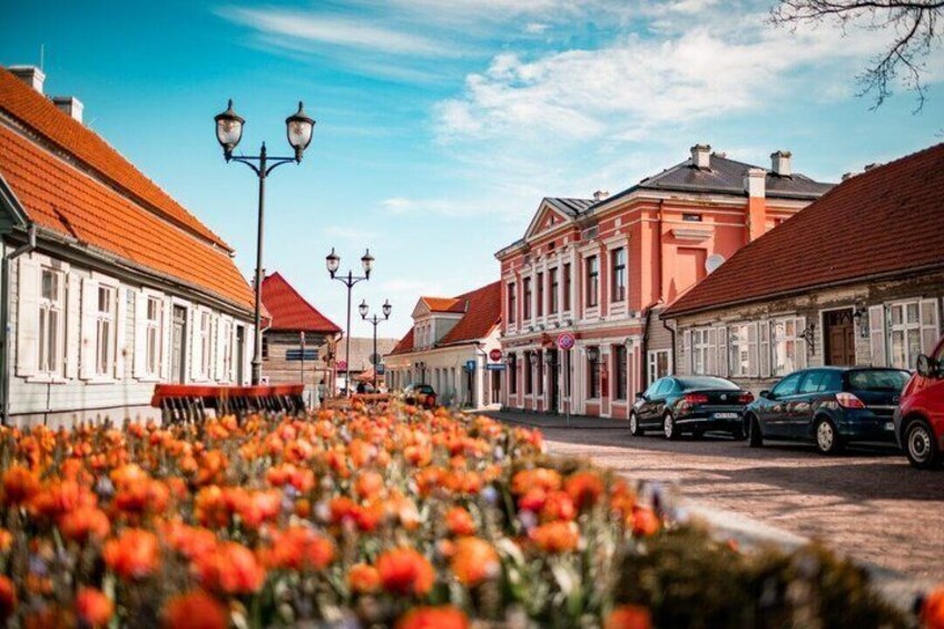 A street lined with historic buildings, a flower bed, and parked cars. 1