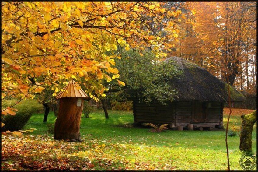 A wooden cabin surrounded by autumn foliage. 2