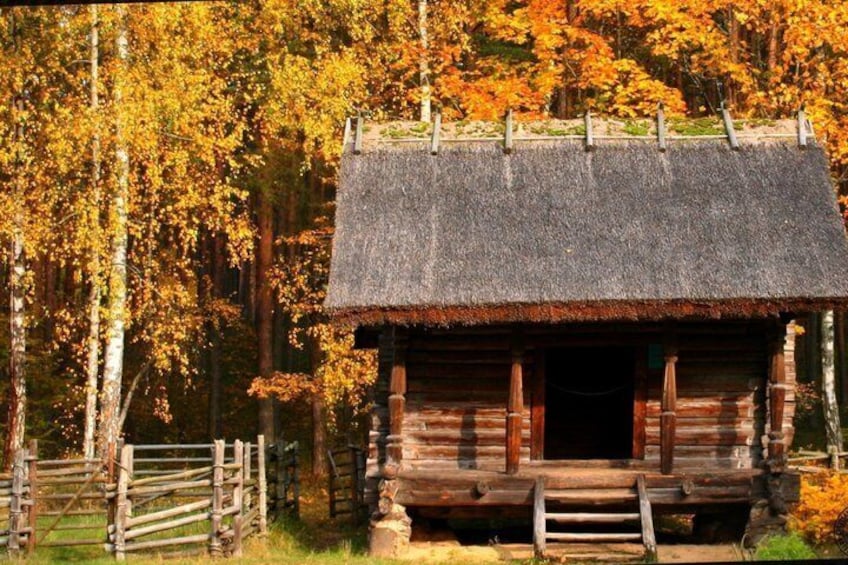 A rustic log cabin with a thatched roof, surrounded by autumn-colored trees. 4