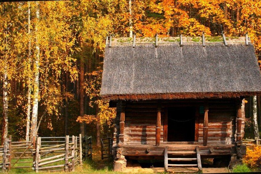 A rustic cabin with a thatched roof surrounded by autumn-colored trees. 3