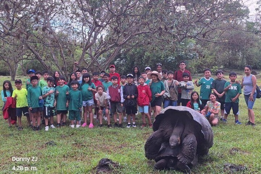 A group of people outdoors with a large elephant in the foreground. 5