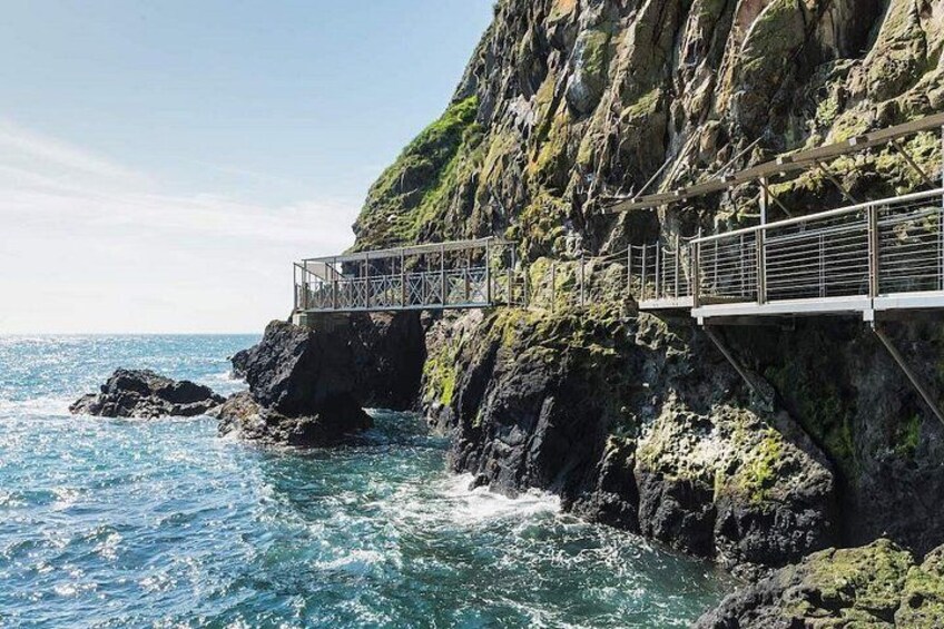 The Gobbins Half-Day Tour in a Luxury Minivan from Belfast 1