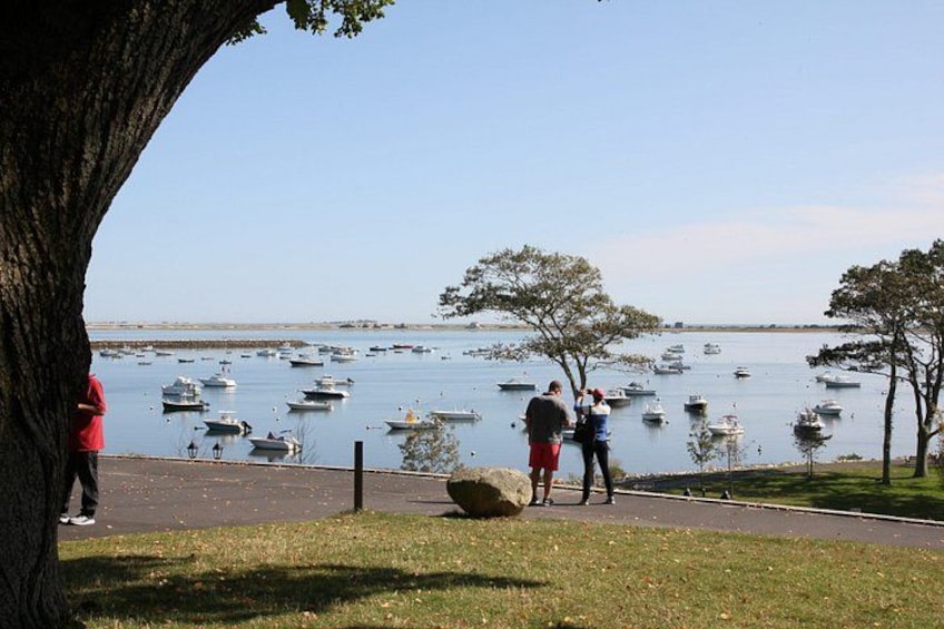 A lake with boats, a tree, and people walking along a path. 2