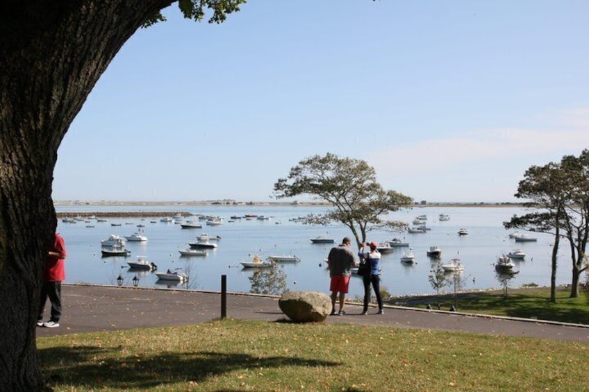 A lakeside view with boats, a tree-lined path, and people walking. 2