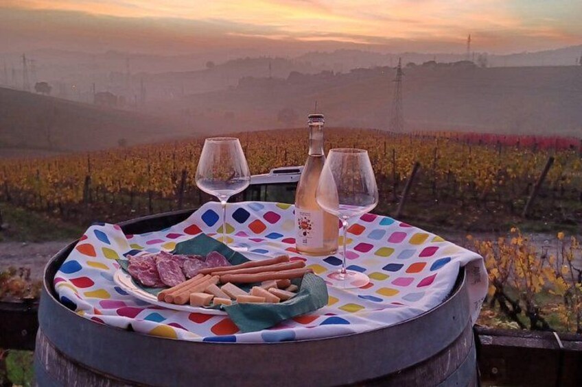 Organic Wine Tasting and Local Food with View near Rimini 3