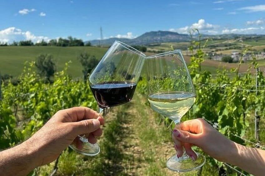 Organic Wine Tasting and Local Food with View near Rimini 2
