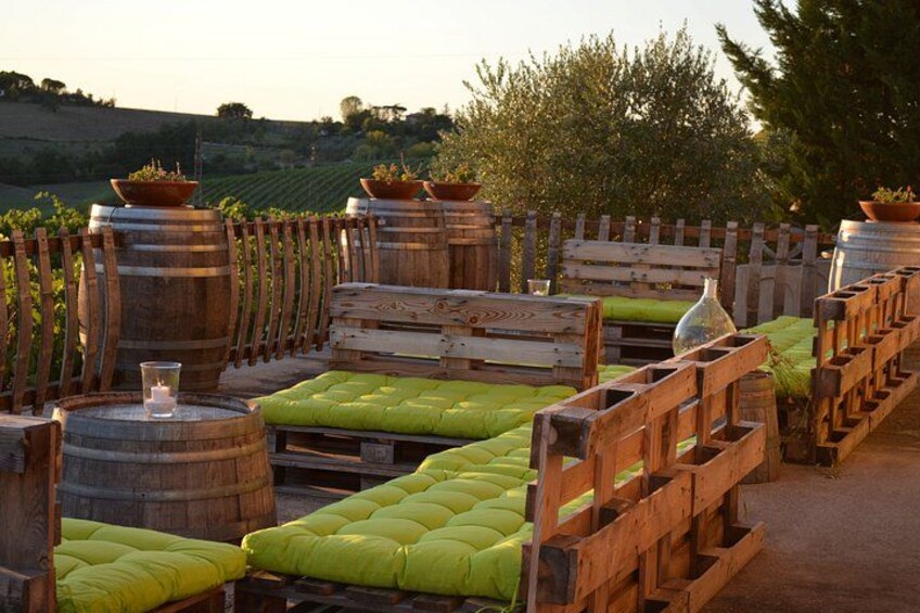 Organic Wine Tasting and Local Food with View near Rimini 1