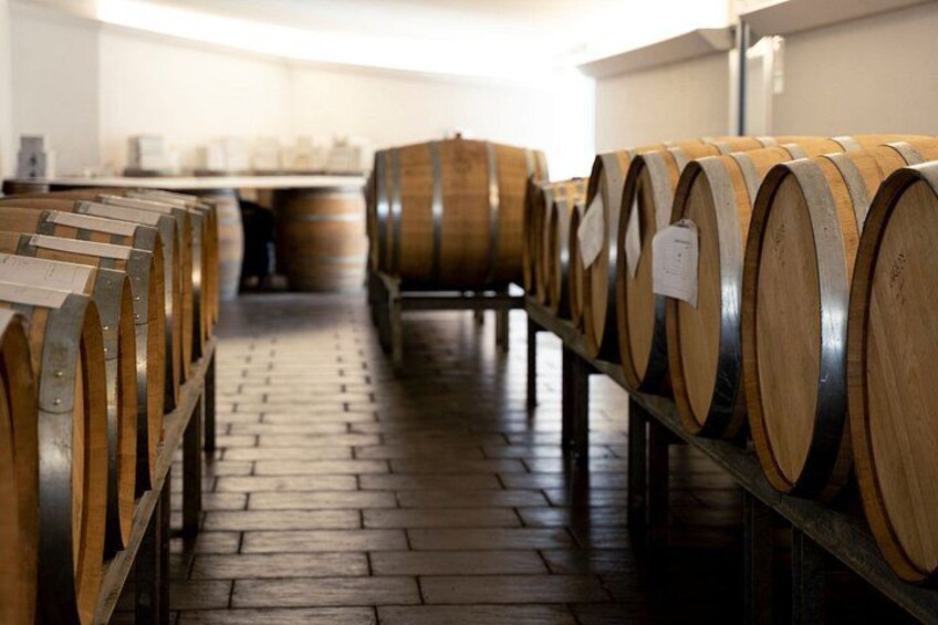 Organic Wine Tasting and Local Food with View near Rimini 3