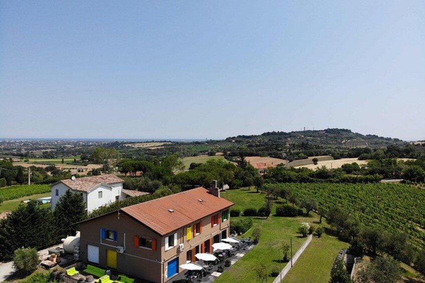 Organic Wine Tasting and Local Food with View near Rimini 5