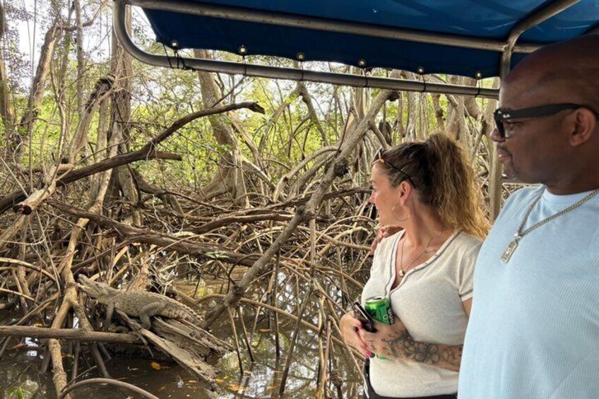 Mangrove Boat Tour in Tamarindo 3