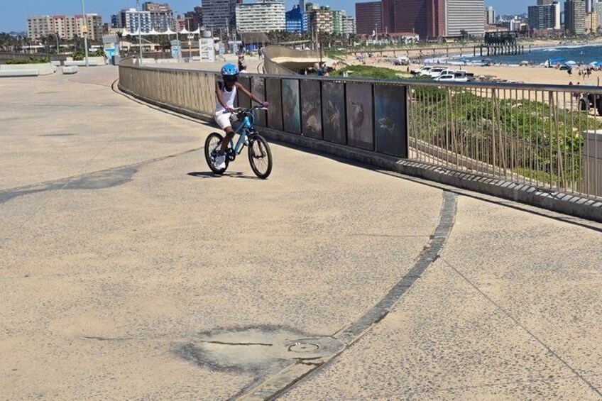A person riding a bicycle on a paved path alongside a beach with a city skyline in the background. 5