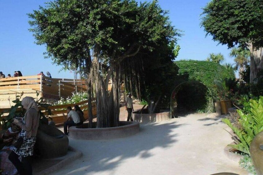 Crocoparc Agadir Day Trip with Round-Trip Transportation 4