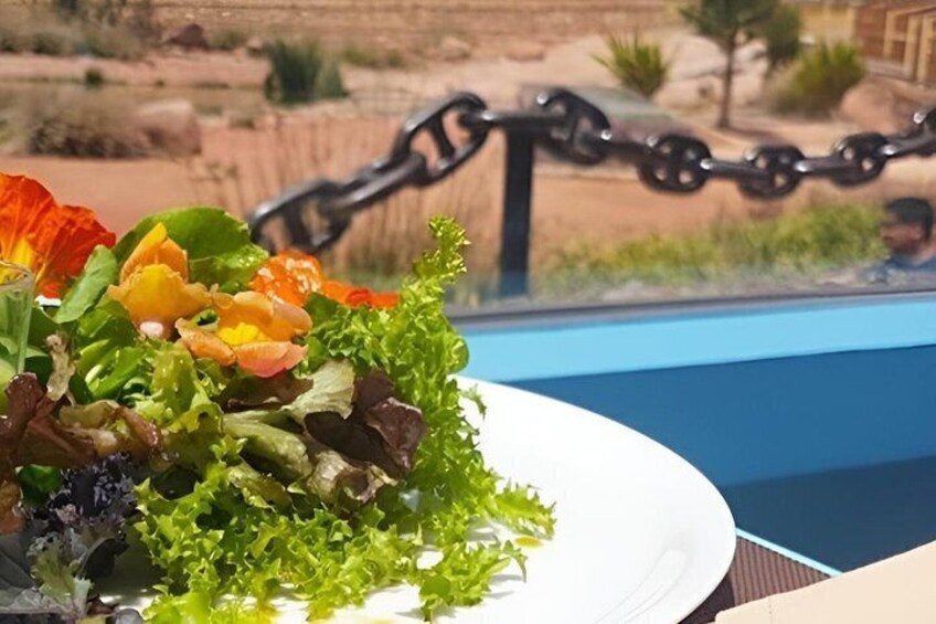 Crocoparc Agadir Day Trip with Round-Trip Transportation 5
