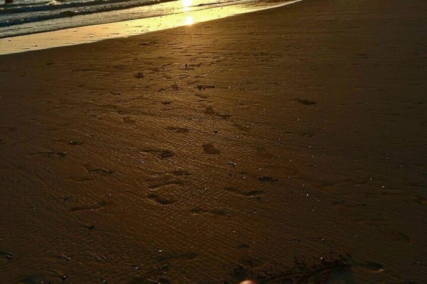 Agadir Beach Agadir Beach 3