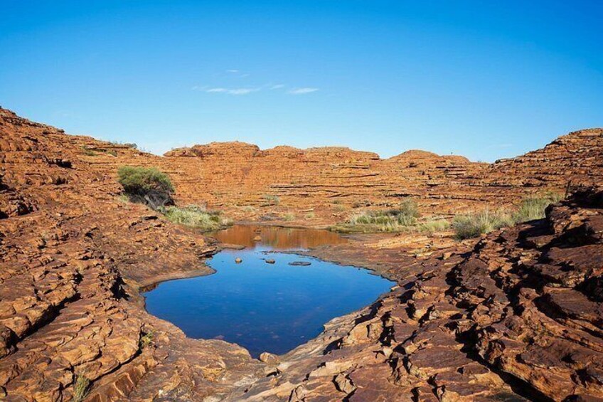 From Yulara: Uluru, Kata Tjuta, Kings Canyon and MacDonnell Range 3