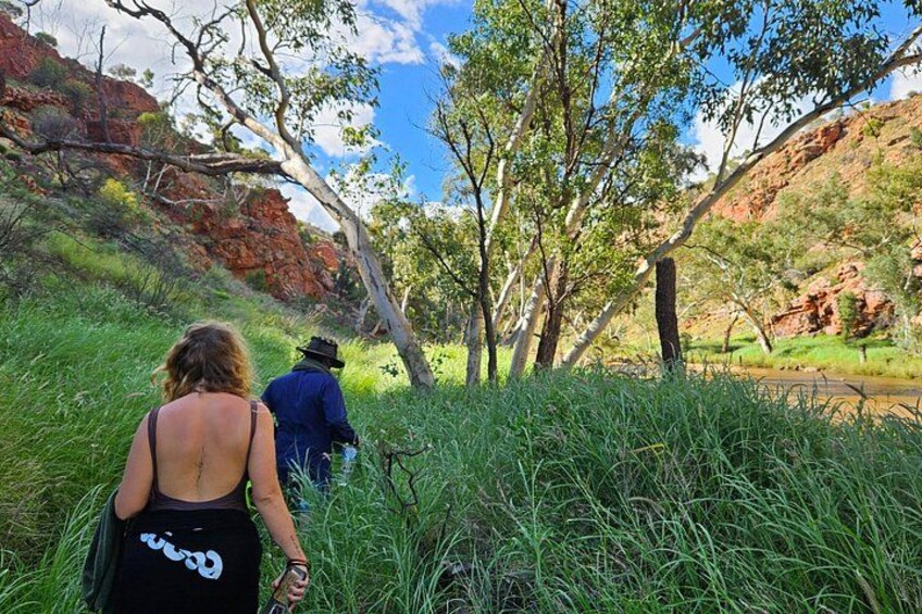 From Yulara: Uluru, Kata Tjuta, Kings Canyon and MacDonnell Range 2
