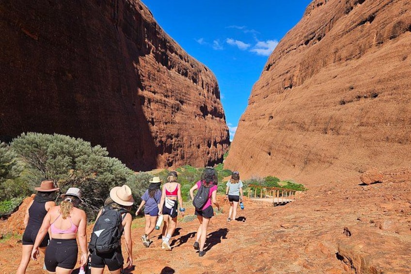From Yulara: Uluru, Kata Tjuta, Kings Canyon and MacDonnell Range 4