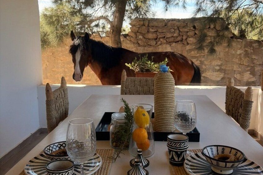 Morning Nature Horse Ride with Lunch in Essaouira 1