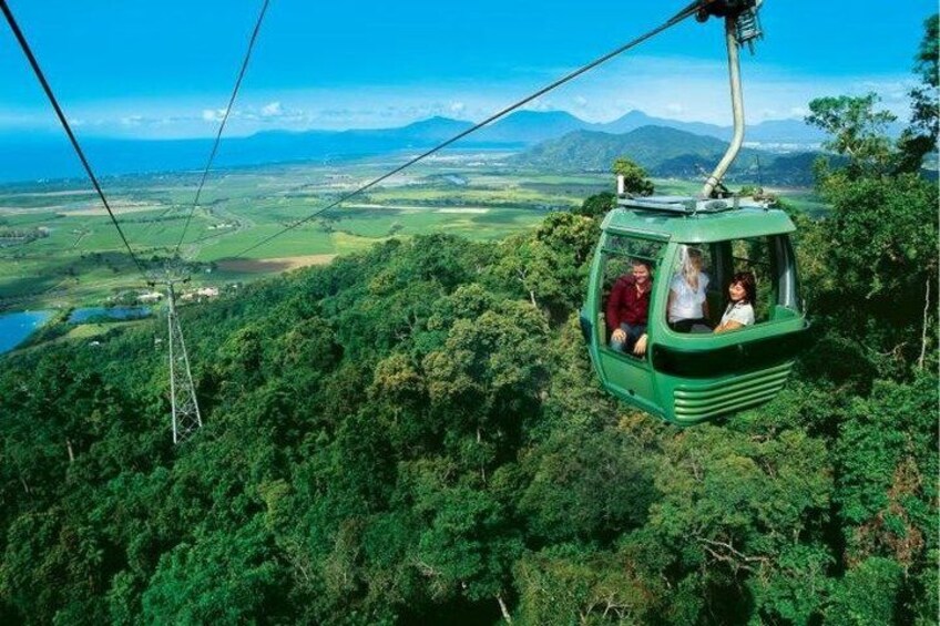 A cable car moving through a forested area with a view of a valley and mountains in the distance. 1