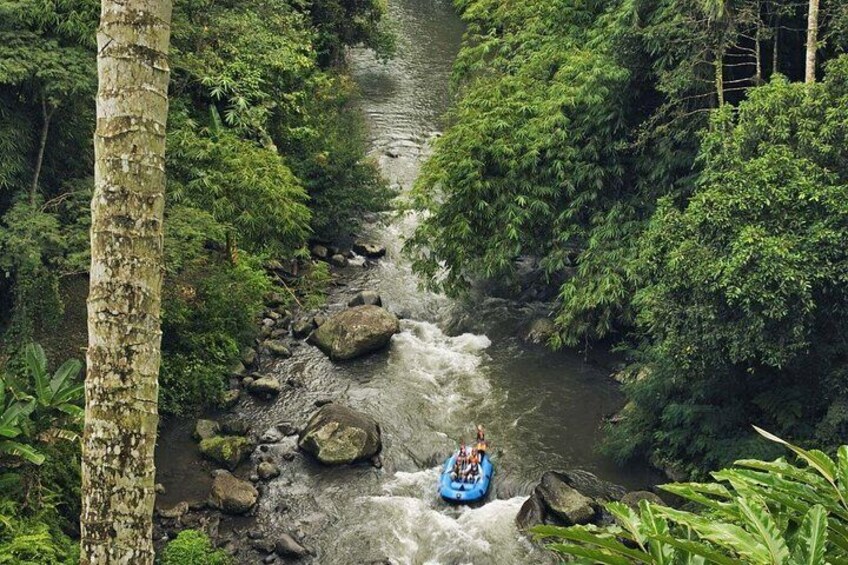 A river with a raft, surrounded by dense green foliage. 2