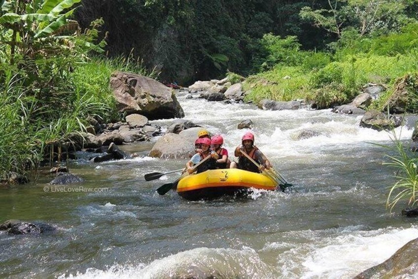 A group of people rafting down a river surrounded by rocks and greenery. 4