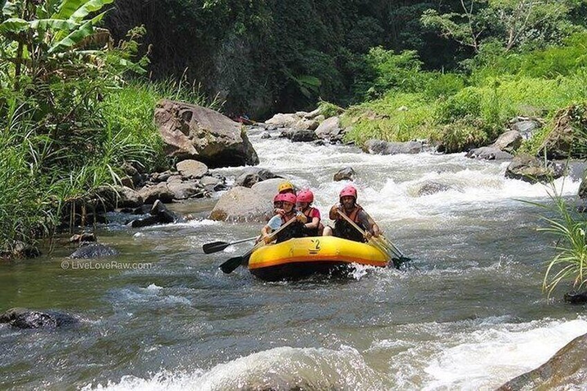 A group of people rafting down a river surrounded by rocks and greenery. 3