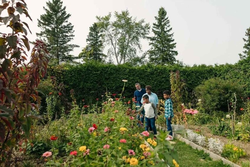 A garden with various flowers and a group of people walking through it. 1