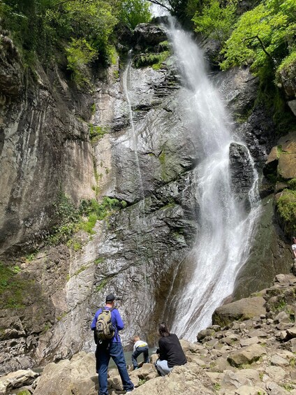 A waterfall cascading down a rocky cliff surrounded by lush greenery. 1