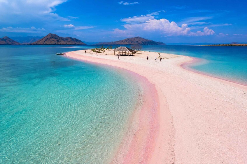 A pink sand beach with clear turquoise water, a small hut, and distant mountains. 1