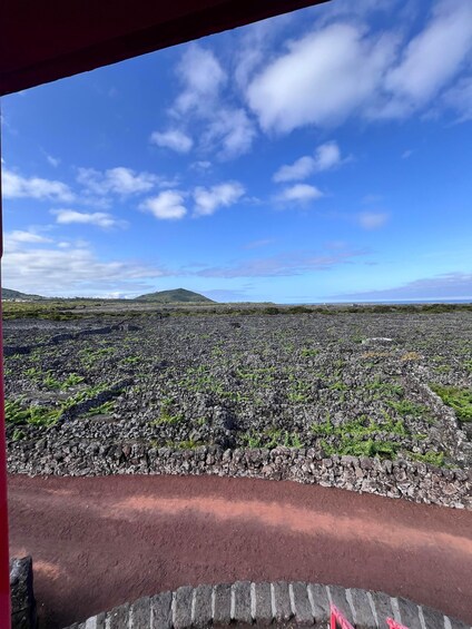 Picture 7 for Activity Pico Island: Private Wine Tour with Tastings 2