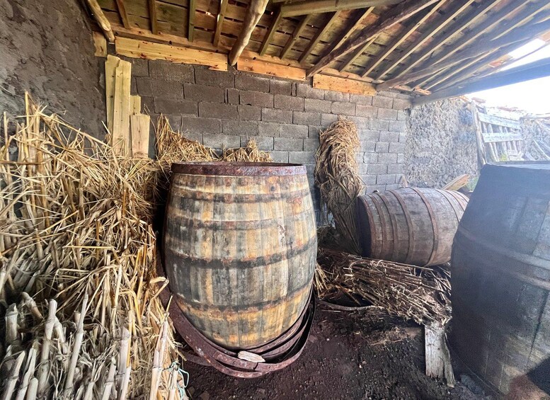 Picture 6 for Activity Pico Island: Private Wine Tour with Tastings 3