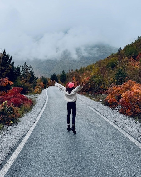 A person standing on a winding road with autumn foliage, facing a misty mountain range. 1