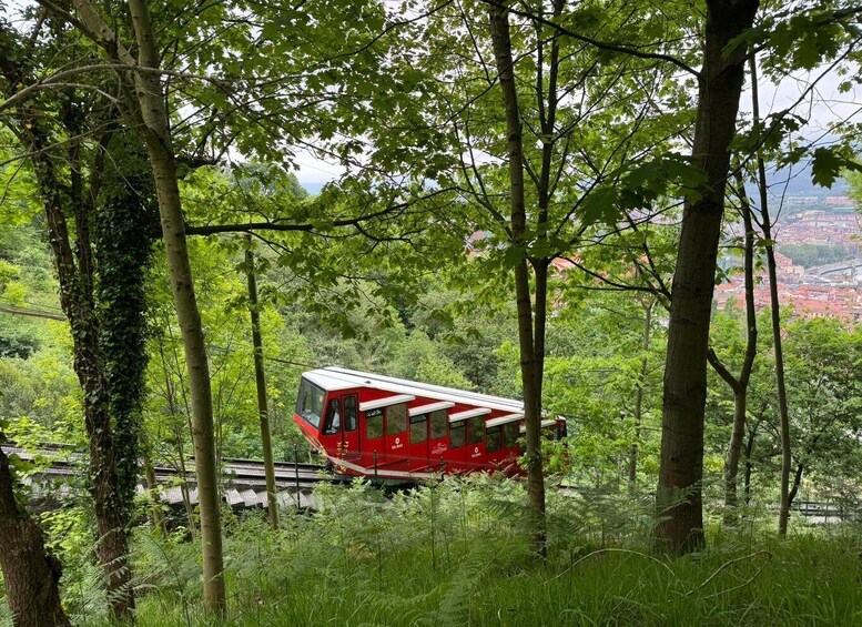 A red cable car moving through a forested area with a cityscape in the background. 5