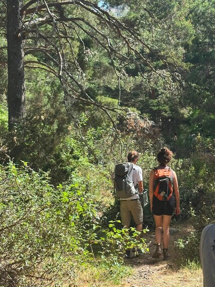 Two hikers on a forest trail with dense vegetation and trees. 2