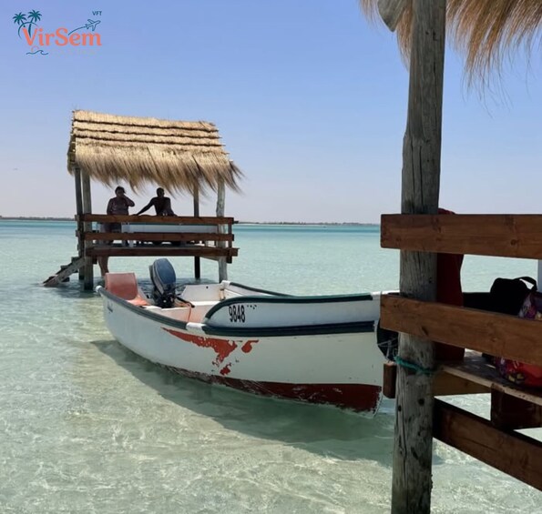 A boat docked at a wooden pier with a thatched roof structure, a clear blue sea, and a palm tree in the foreground. 3
