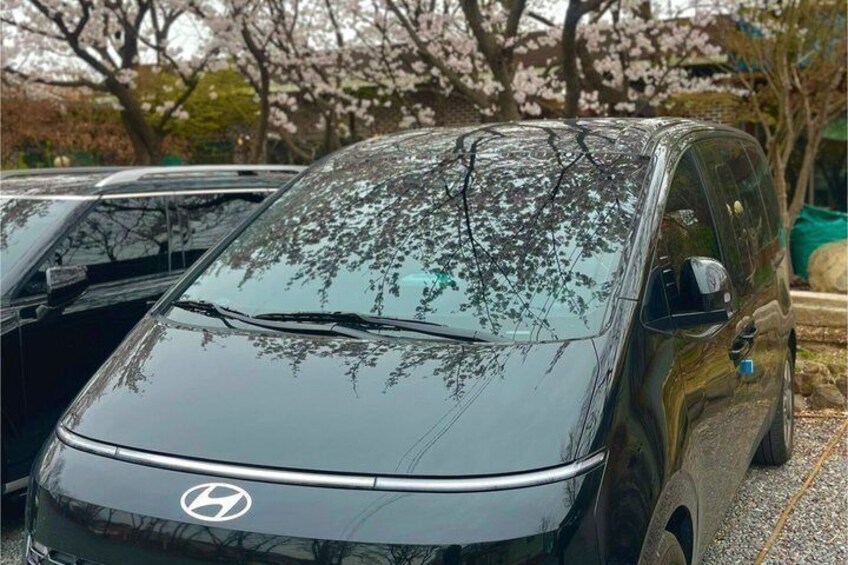 A black Hyundai car parked in a lot with cherry blossoms in the background. 2