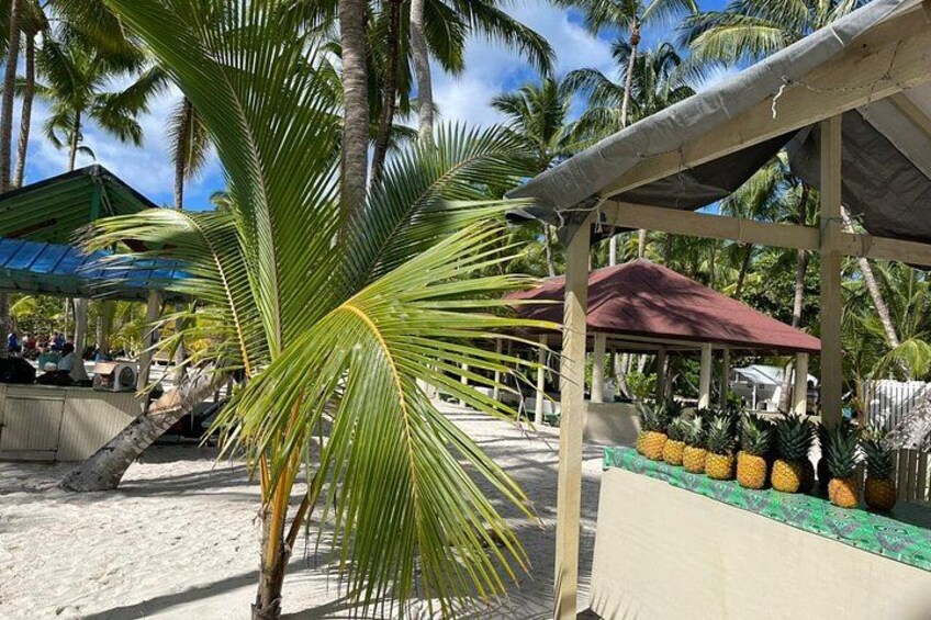 A beach with palm trees, a covered area with a red roof, and a table with pineapples. 3
