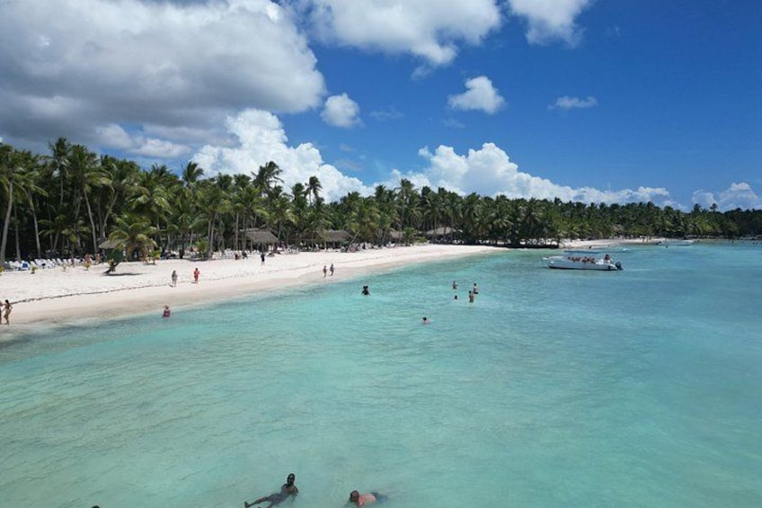 Punta Cana: Saona Island Caribbean Paradise Tour 5