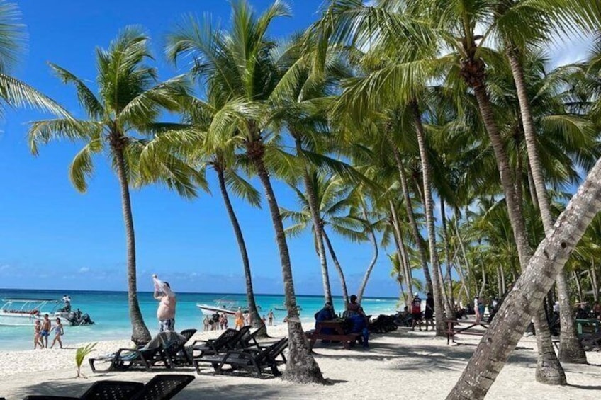 A beach with palm trees, lounge chairs, and people. 4