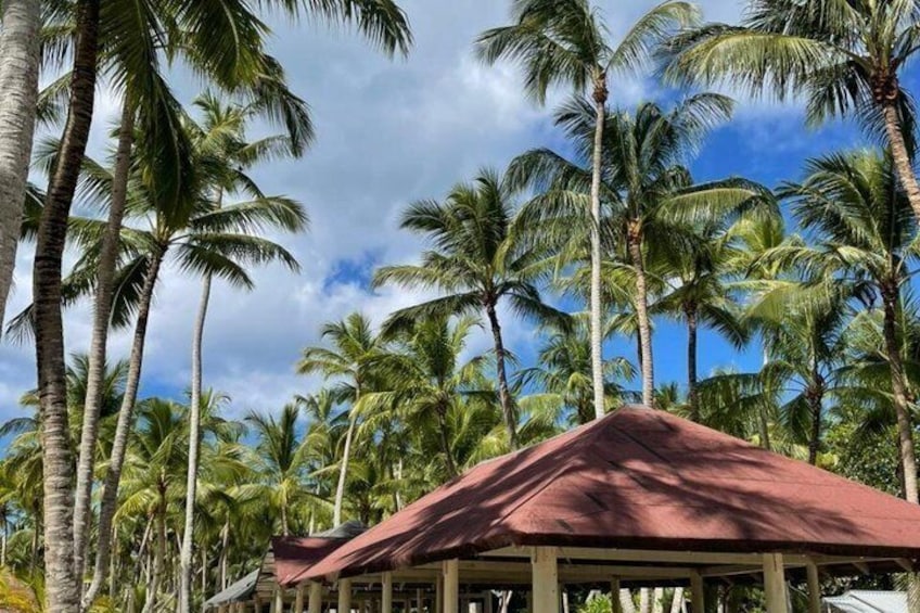 A resort with red-roofed buildings surrounded by palm trees. 5