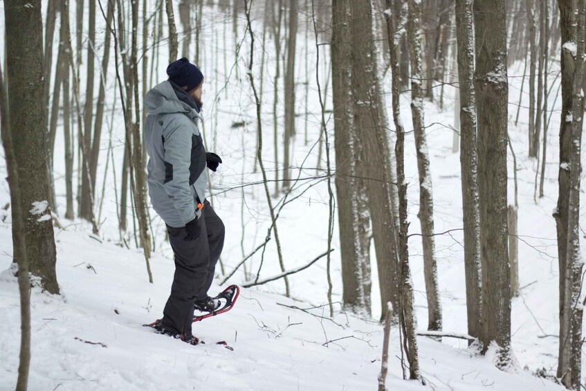 A person snowshoeing through a snowy forest. 2
